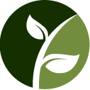 Vineyard Pruning Pros