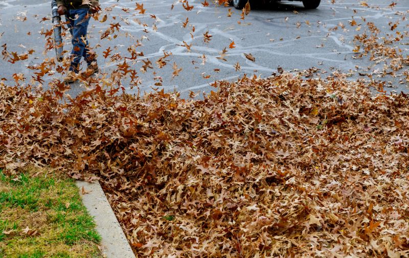 Seasonal Leaf Management