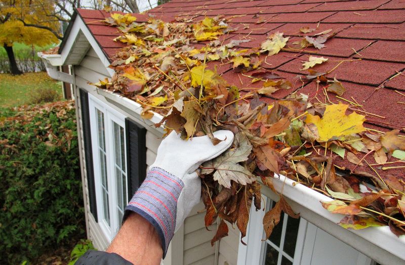 Professional Leaf Services