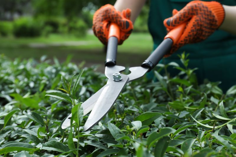 Close-up of Pruning Tools in Use