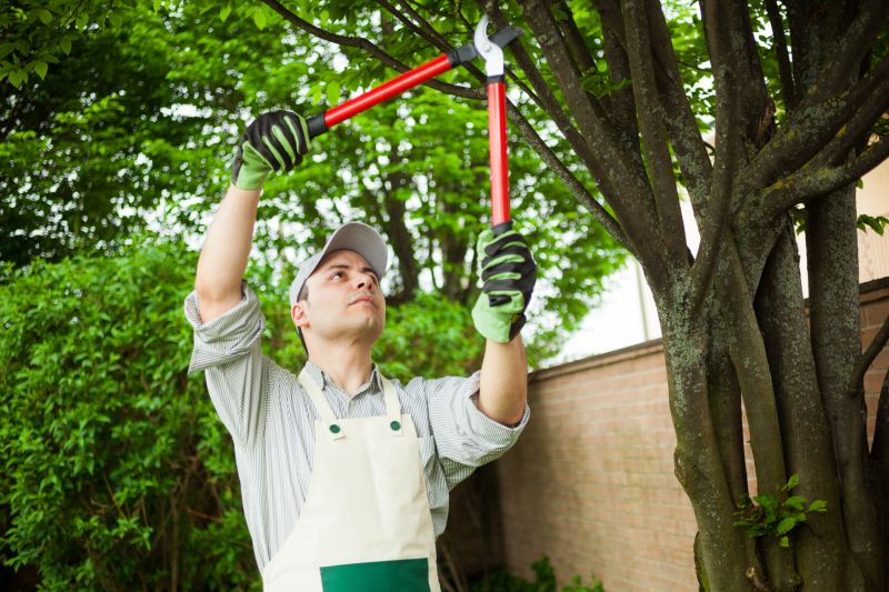 Landscaper Using Pruning Shears