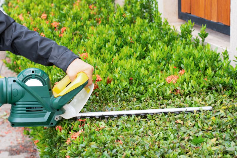 Professional Shrub Trimming Equipment